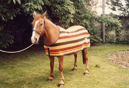 Replica of one of the pair of horse blankets made as a wedding present for Prince Charles and Lady Diana in 1981.