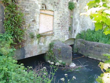 Farm Mill, the upstream side of the mill race.